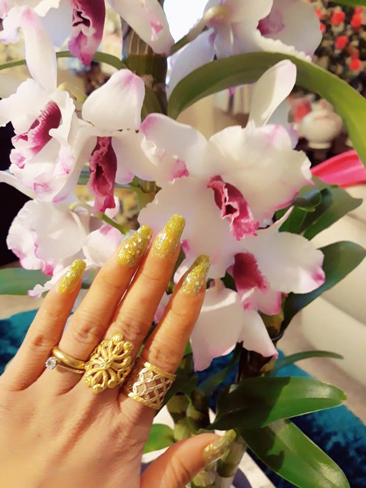 67345630 109988167004013 1827774095031271424 N